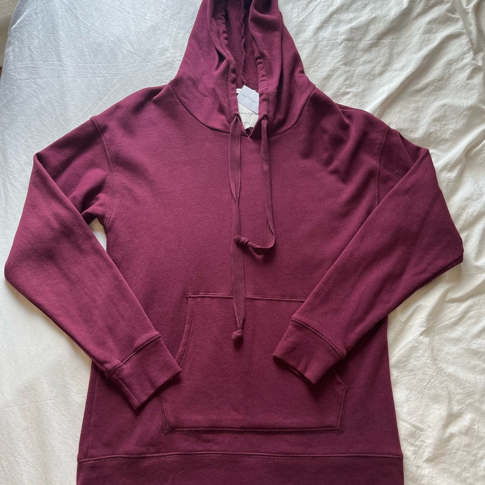 American Eagle Outfitters Berry Crewneck Hoodie